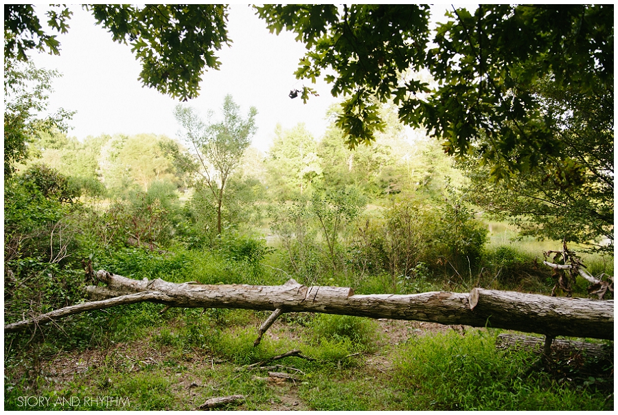 Backyard wedding in Raleigh, North Carolina_0124