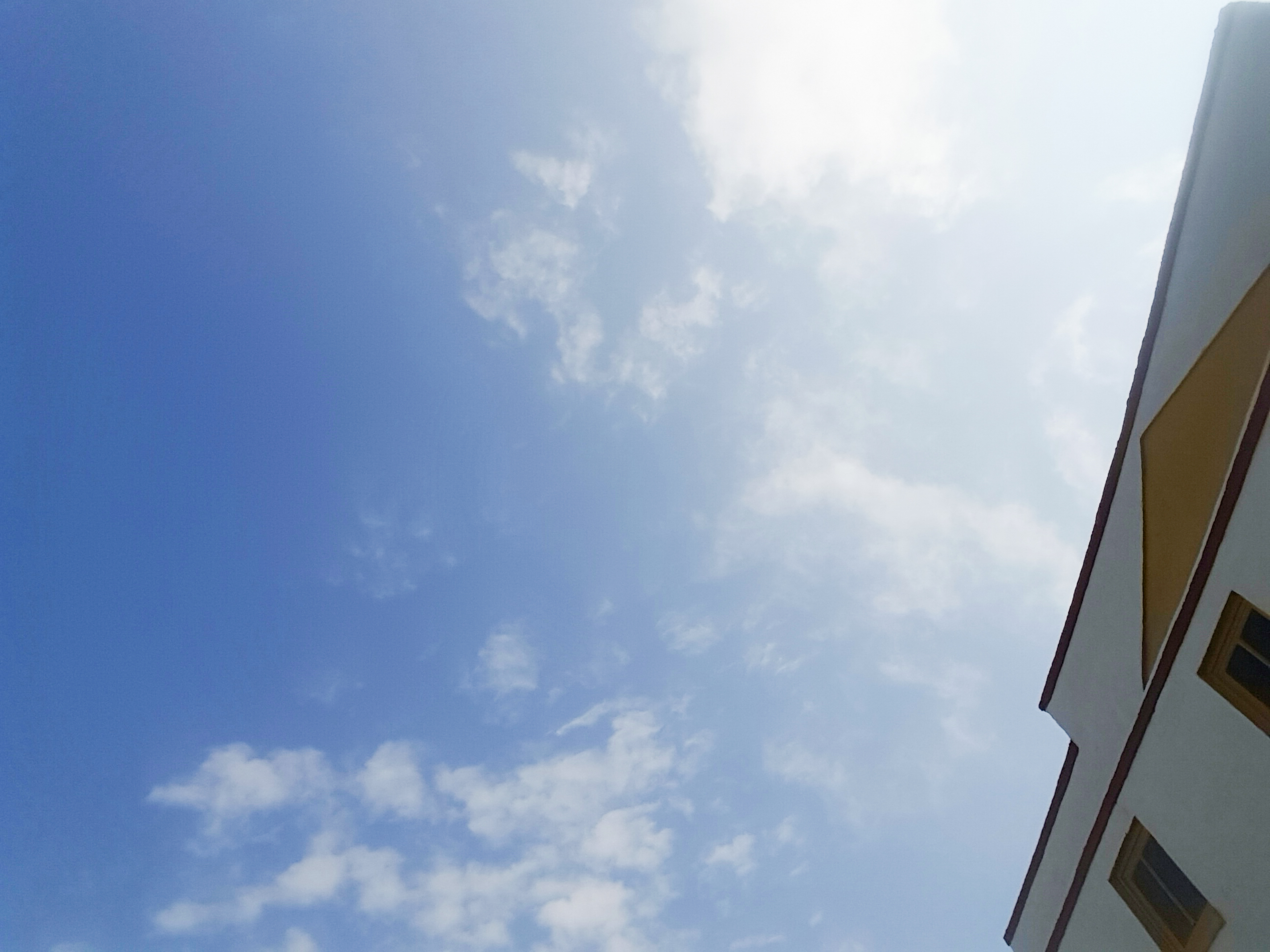 Wedding DJ and photographer in Wilmington, NC