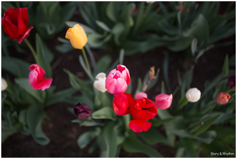 Talking about miscarriage