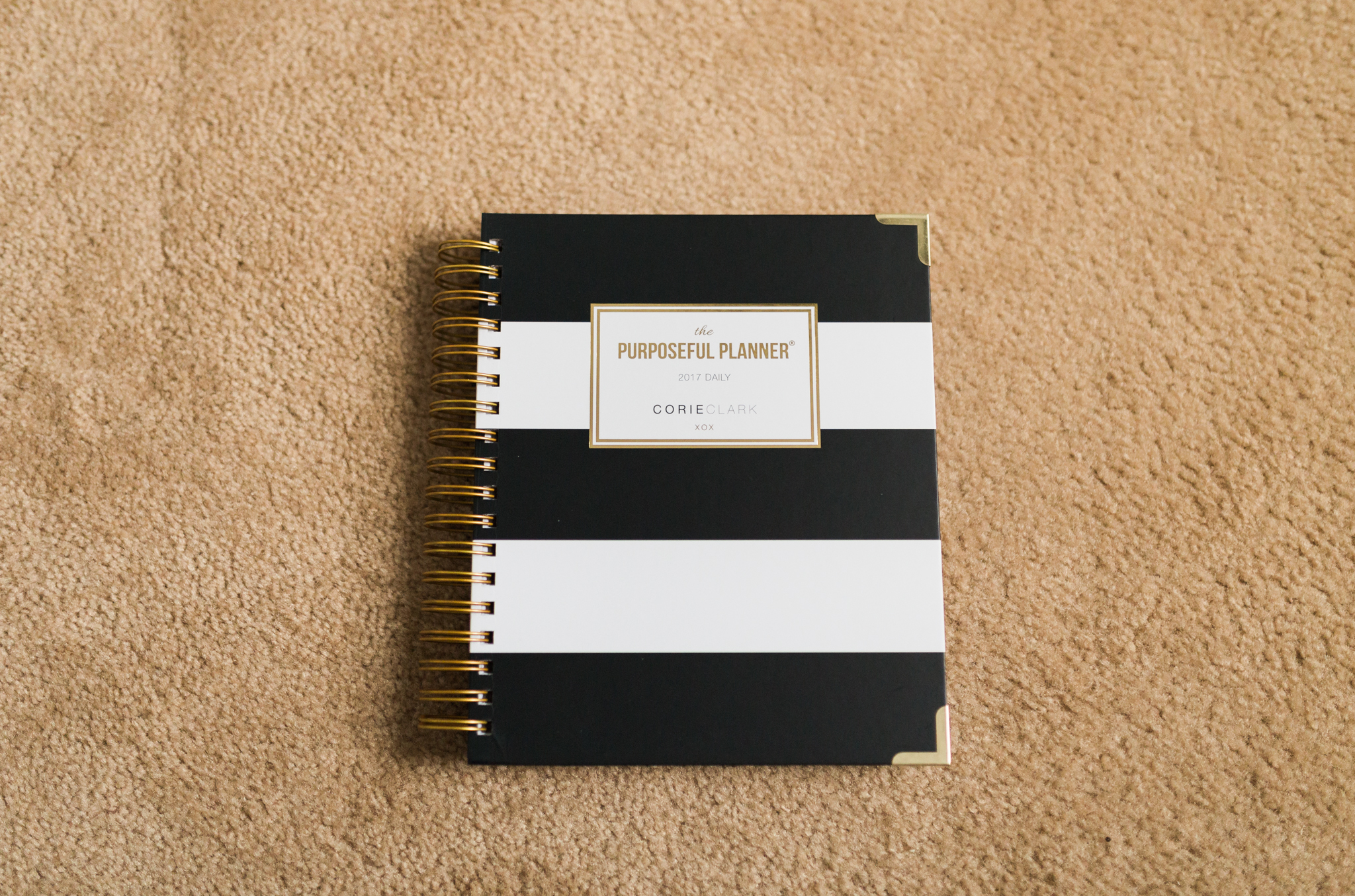 purposeful planner review