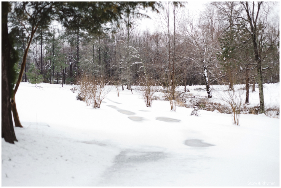 Snow in North Carolina