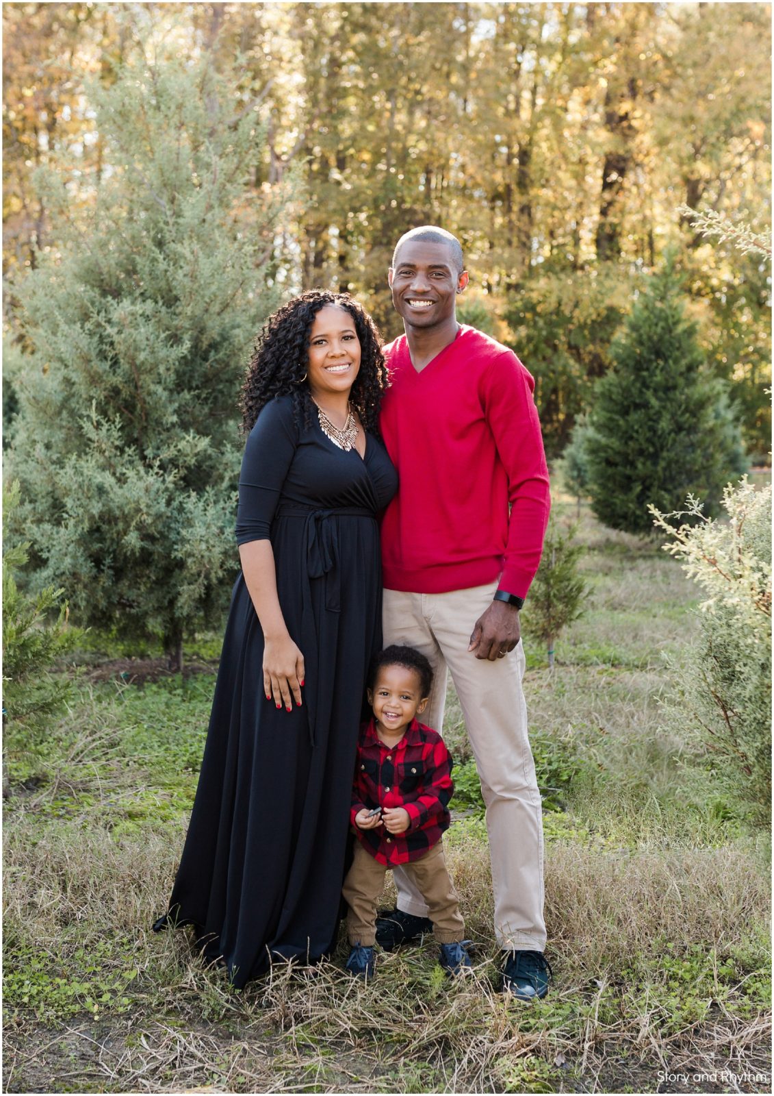 Pine lake christmas tree farm