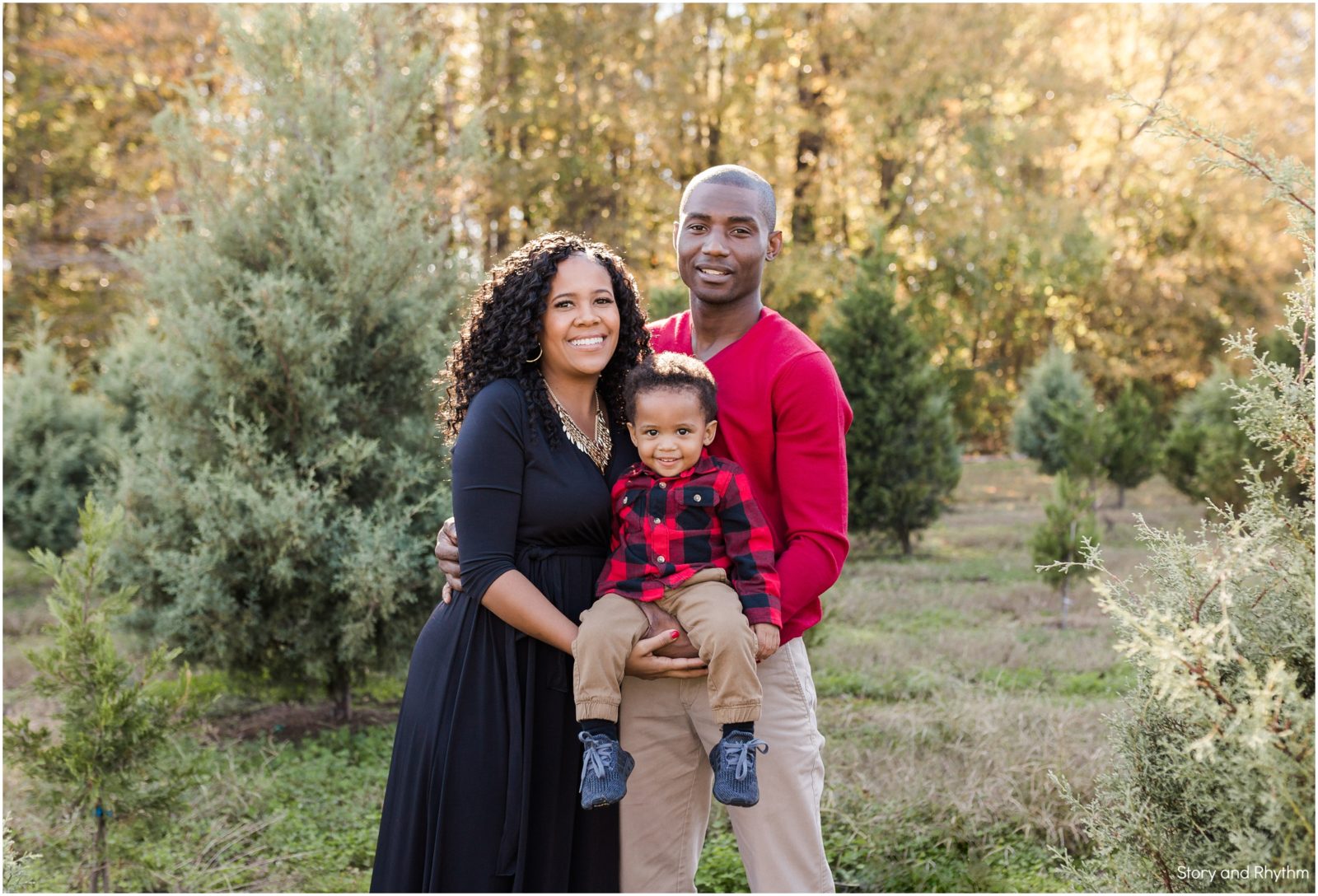 Jordan Lake Christmas Tree Farm Durham Photographers