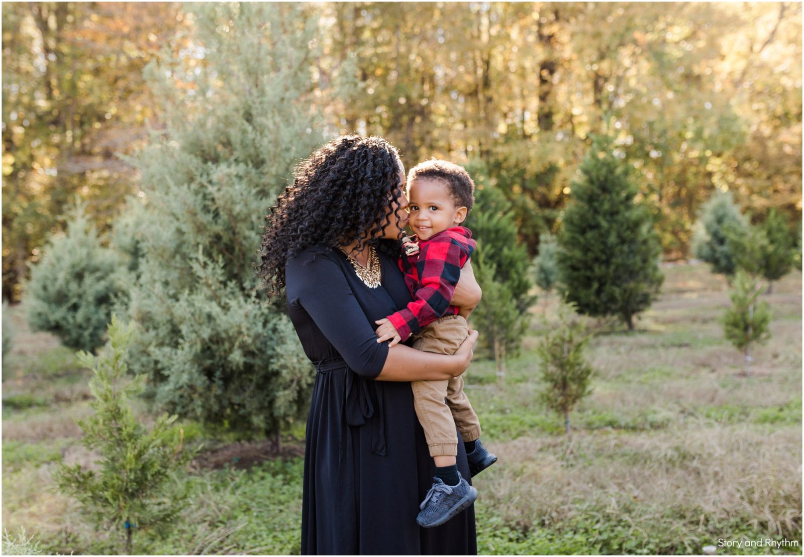Pine lake christmas tree farm