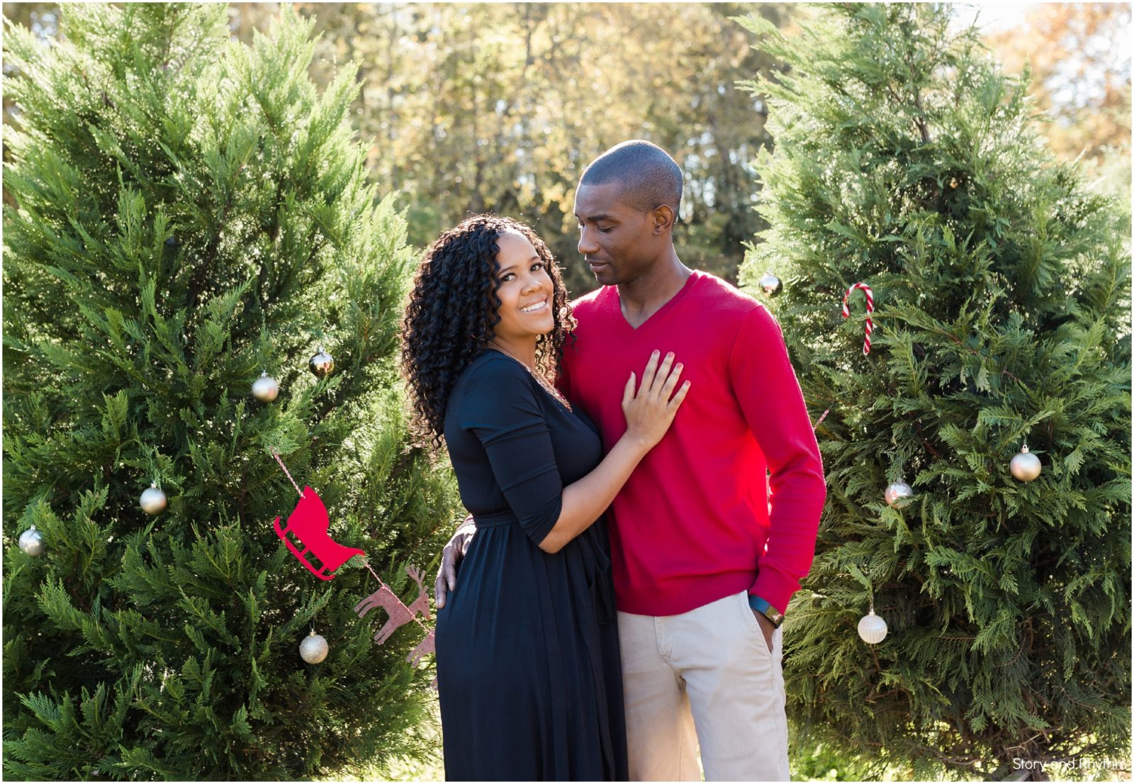 Pine lake christmas tree farm