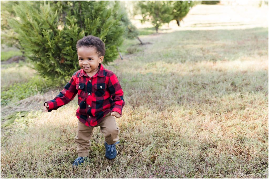 Pine lake christmas tree farm