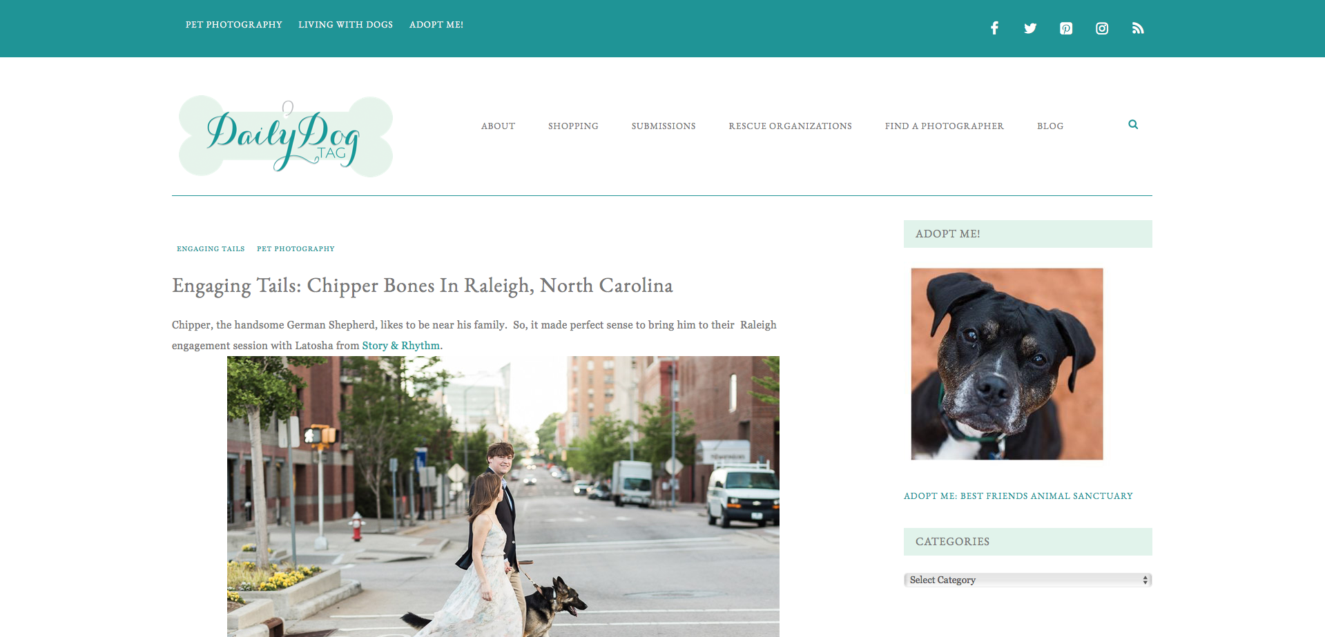 Raleigh engagement photo session with dog