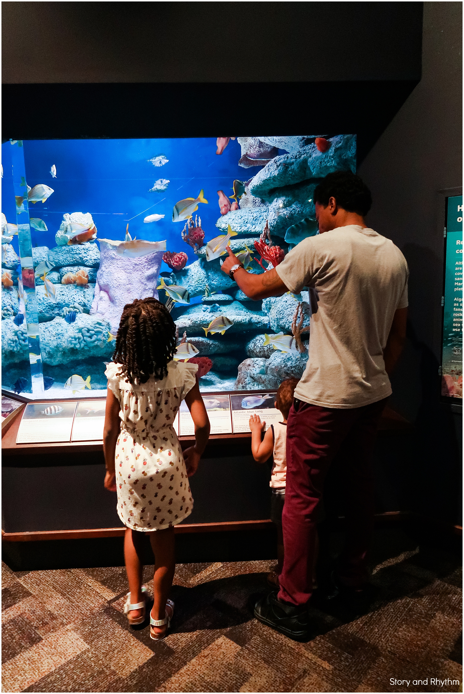 Family trip to the South Carolina Aquarium
