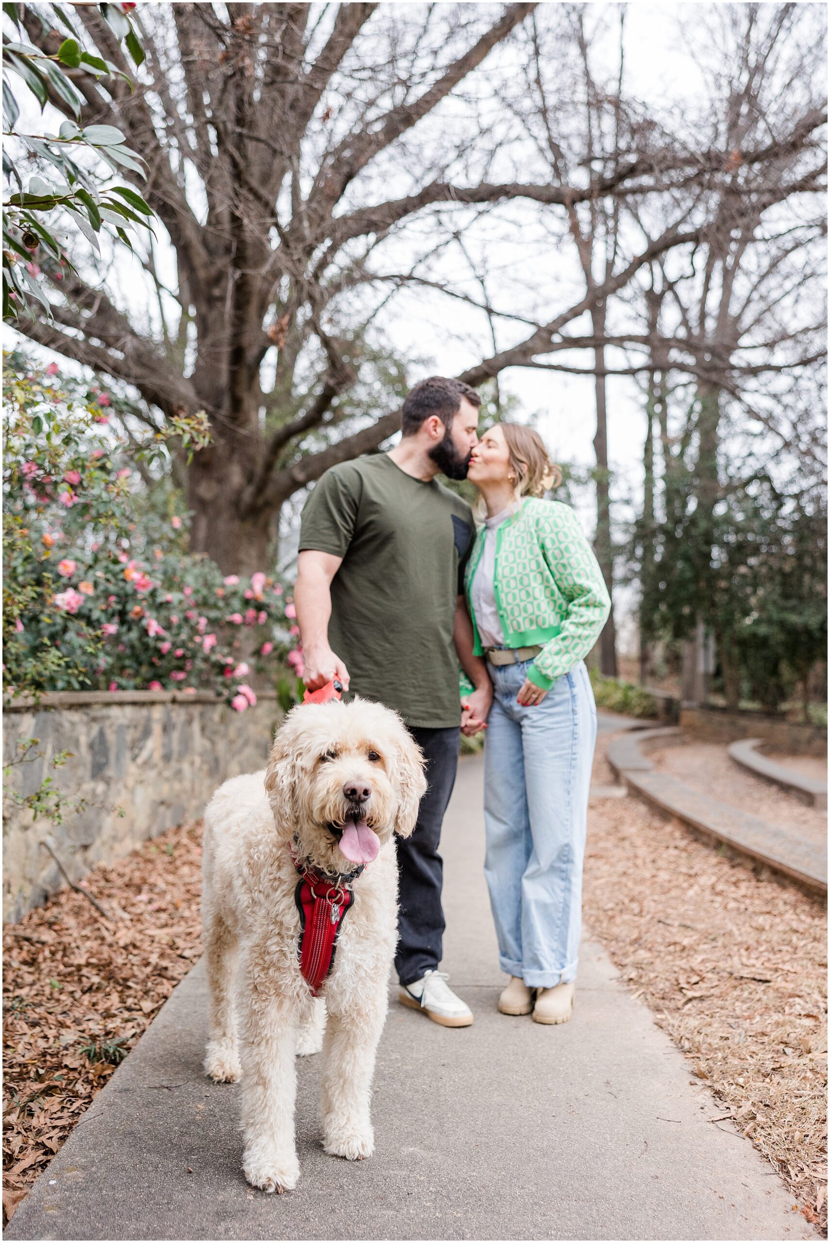 Engagement photos with a goldendoodle